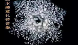 水知道答案视频完整版,科学实证与心灵奥秘的完美融合