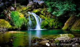 水知道答案视频完整版,科学实证与心灵奥秘的完美融合