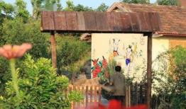 星光村,探寻乡村魅力，感受田园生活