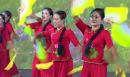 秧歌舞蹈视频大全,视频大全中的民族韵律之旅